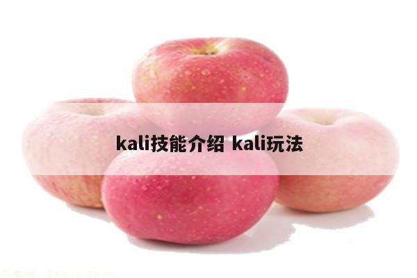 kali技能介绍 kali玩法