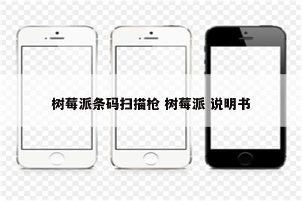 树莓派条码扫描枪 树莓派 说明书
