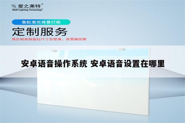 安卓语音操作系统 安卓语音设置在哪里