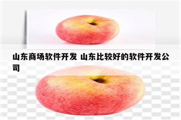 山东商场软件开发 山东比较好的软件开发公司