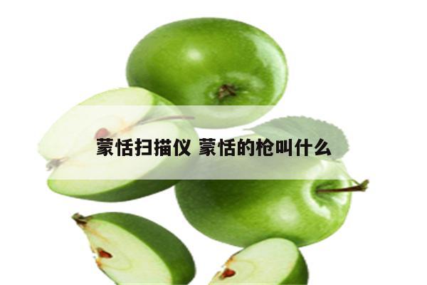 蒙恬扫描仪 蒙恬的枪叫什么