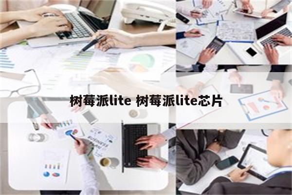 树莓派lite 树莓派lite芯片