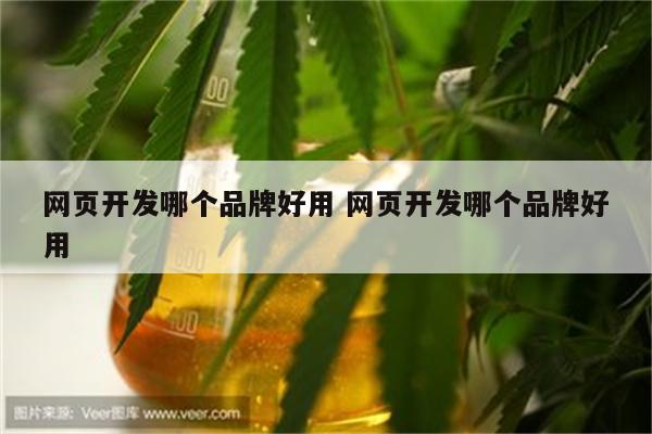 网页开发哪个品牌好用 网页开发哪个品牌好用