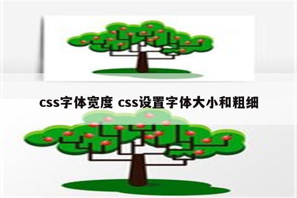 css字体宽度 css设置字体大小和粗细