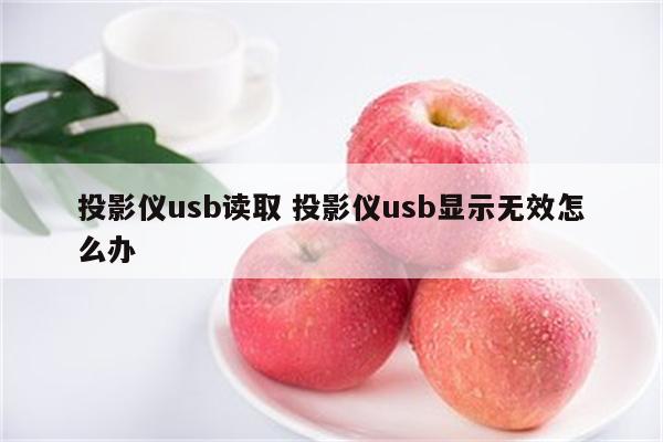 投影仪usb读取 投影仪usb显示无效怎么办