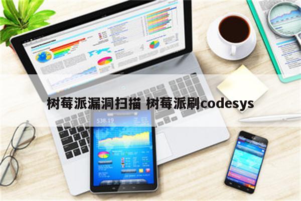 树莓派漏洞扫描 树莓派刷codesys