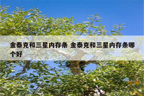 金泰克和三星内存条 金泰克和三星内存条哪个好