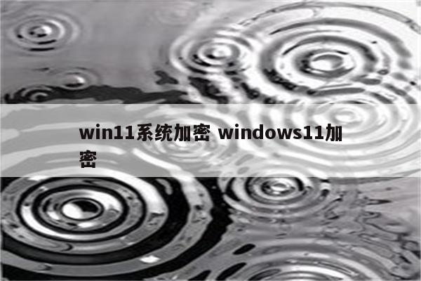 win11系统加密 windows11加密