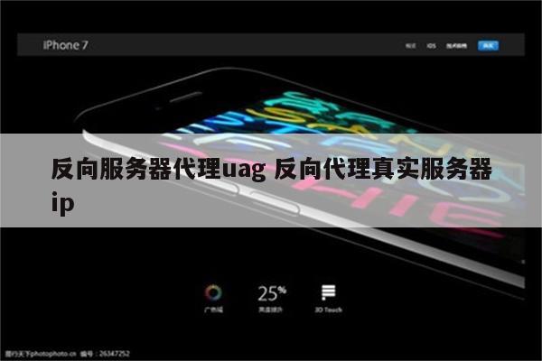 反向服务器代理uag 反向代理真实服务器ip
