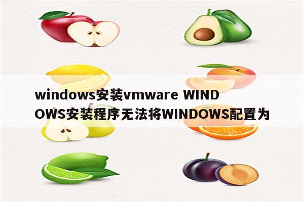 windows安装vmware WINDOWS安装程序无法将WINDOWS配置为