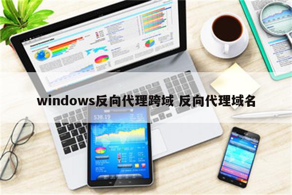 windows反向代理跨域 反向代理域名