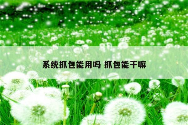 系统抓包能用吗 抓包能干嘛