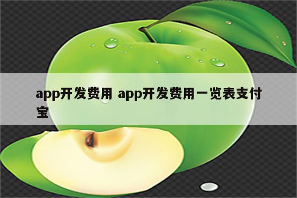 app开发费用 app开发费用一览表支付宝