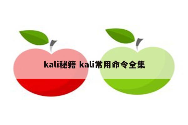 kali秘籍 kali常用命令全集