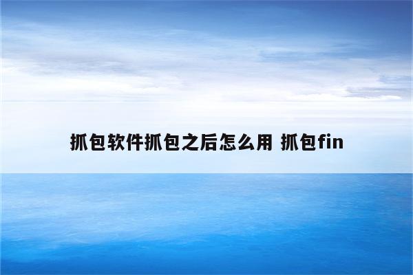 抓包软件抓包之后怎么用 抓包fin