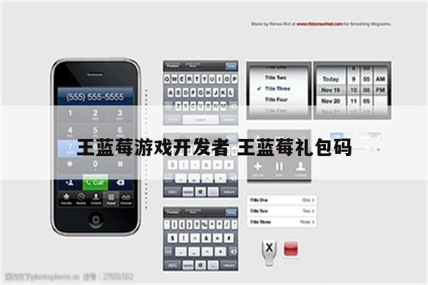 王蓝莓游戏开发者 王蓝莓礼包码