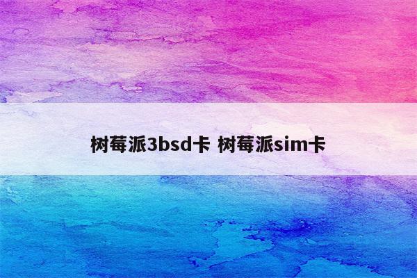 树莓派3bsd卡 树莓派sim卡