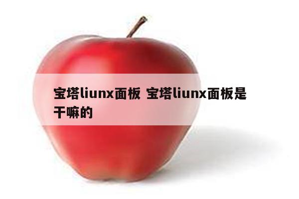 宝塔liunx面板 宝塔liunx面板是干嘛的