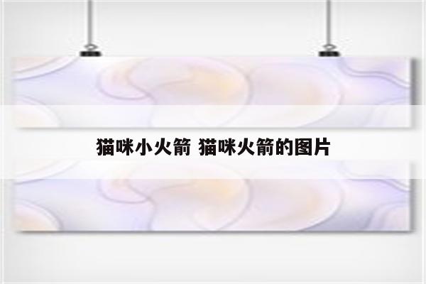 猫咪小火箭 猫咪火箭的图片