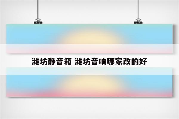 潍坊静音箱 潍坊音响哪家改的好