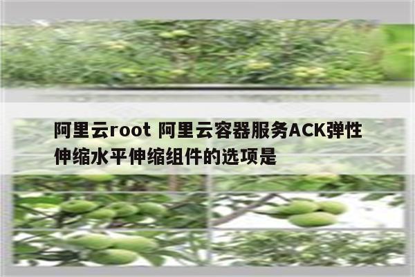 阿里云root 阿里云容器服务ACK弹性伸缩水平伸缩组件的选项是