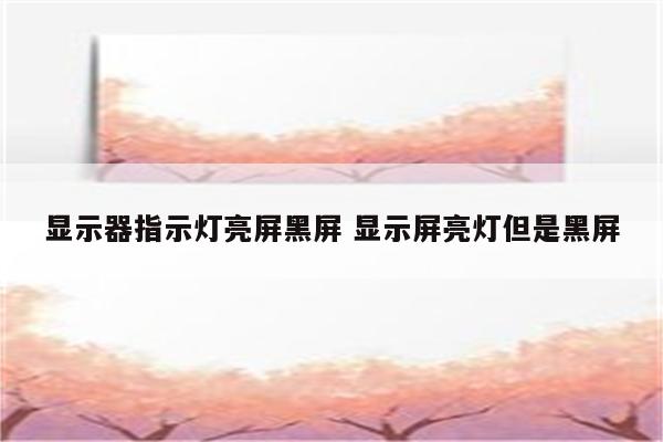 显示器指示灯亮屏黑屏 显示屏亮灯但是黑屏