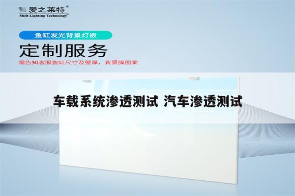 车载系统渗透测试 汽车渗透测试