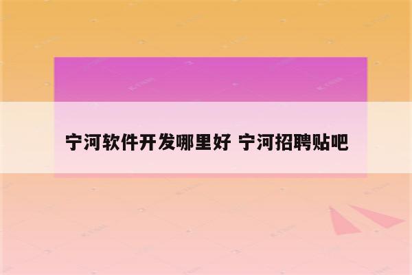 宁河软件开发哪里好 宁河招聘贴吧