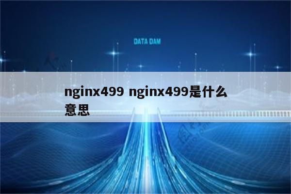 nginx499 nginx499是什么意思
