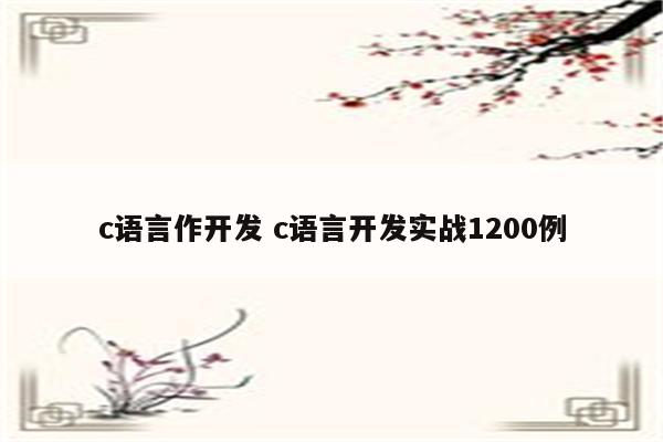 c语言作开发 c语言开发实战1200例