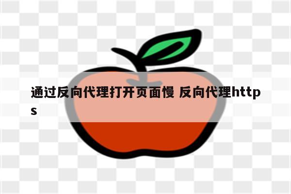 通过反向代理打开页面慢 反向代理https