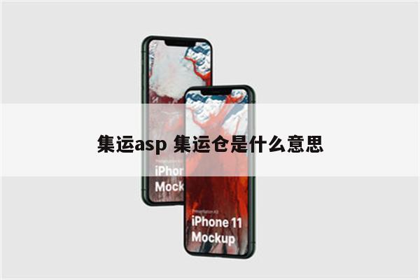 集运asp 集运仓是什么意思