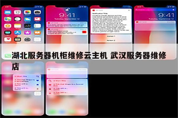 湖北服务器机柜维修云主机 武汉服务器维修店