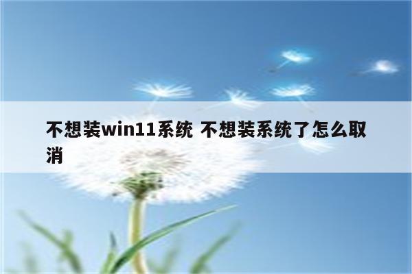 不想装win11系统 不想装系统了怎么取消
