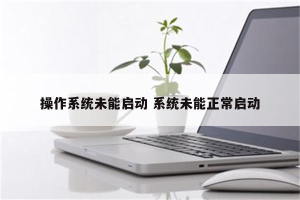 操作系统未能启动 系统未能正常启动