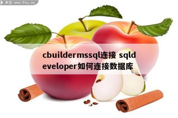 cbuildermssql连接 sqldeveloper如何连接数据库