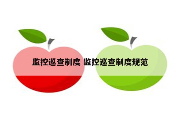 监控巡查制度 监控巡查制度规范