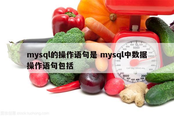 mysql的操作语句是 mysql中数据操作语句包括