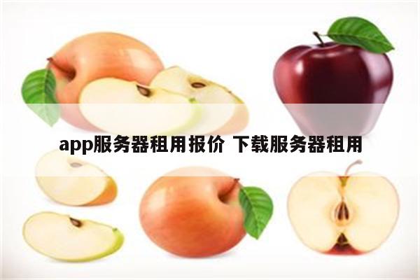 app服务器租用报价 下载服务器租用