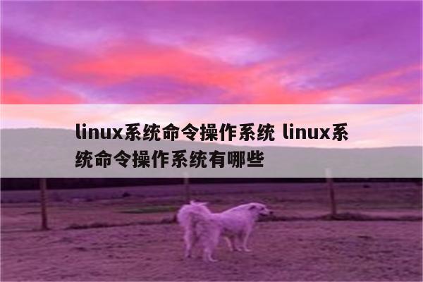 linux系统命令操作系统 linux系统命令操作系统有哪些