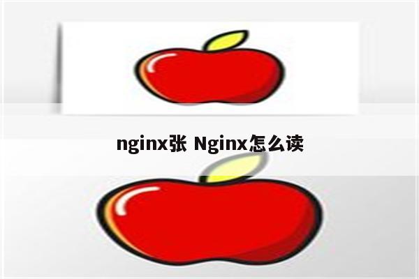 nginx张 Nginx怎么读