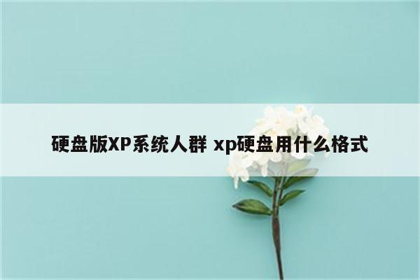 硬盘版XP系统人群 xp硬盘用什么格式