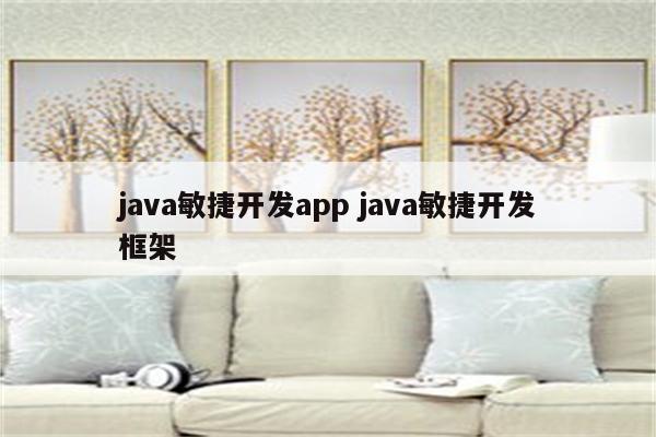 java敏捷开发app java敏捷开发框架