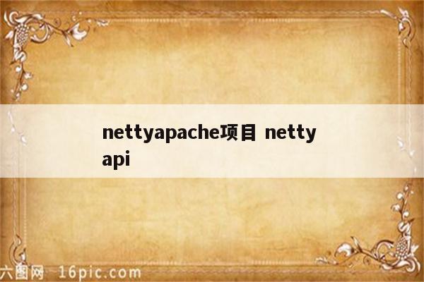 nettyapache项目 netty api