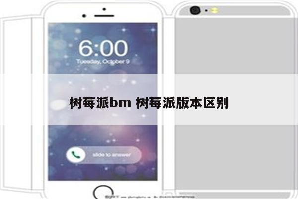 树莓派bm 树莓派版本区别