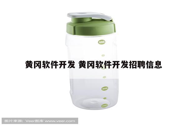 黄冈软件开发 黄冈软件开发招聘信息