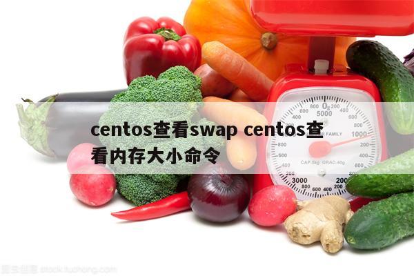 centos查看swap centos查看内存大小命令