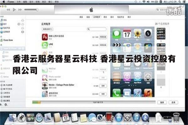 香港云服务器星云科技 香港星云投资控股有限公司