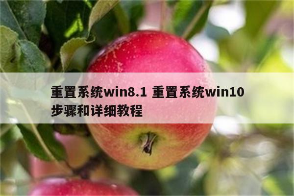 重置系统win8.1 重置系统win10步骤和详细教程