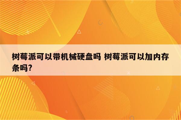 树莓派可以带机械硬盘吗 树莓派可以加内存条吗?